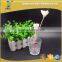150ml Aroma Diffuser Perfume Glass Bottle