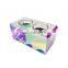 Rainbow Acrylic Pet Dinning Table Pet Feeder Tray Cat and Dog Dish Rack Elevated Dog Bowel Holder