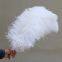 Natural 10-75cm artificial Ostrich Feather for party and wedding decoration