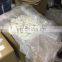 Best price of Cuttlefish bone for Bird feed and Medicine