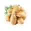 free sample Potato Powder Protein 5% dry potato powder