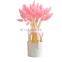 Wholesales Hot Sale Preserved Natural Flowers Bouquet Bunny Tail Dried Decorative Pink Colorful Lagurus Home Wedding Decoration