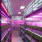 new designed epileds chips led grow light super power led grow light for fruits vegetables