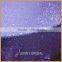 SQN#10 Factory supplier rectangular table linen ocean blue sequin table cloth