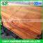 Linyi YATIAN Factory Good Quality D Grade 0.32mm Natural Rotary Cut Burma Face Veneer