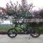 20 inch 36V 200W folding electric bicycle/bike,ebike