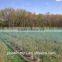 Oriented overhead premium bird netting for protection of fruits and vegetables