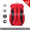 Fashion color big capacity polyster backpack, cheap good quality laptop backpack