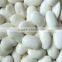 larger white kidney beans with excellent quality HOT SALE
