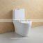Floor Installed Type Dual Flush Siphon Toilet