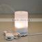 50ml Decorative Humidifiers Portable Air Purifier Mini USB Aroma Diffuser Humidifier Use in Car