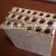 Hollow Core Particleboard for Construction