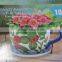 ceramic hand painted tea cup & saucer planter
