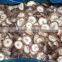 frozen shiitake mushroom