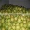 Fresh Pomelo