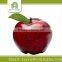 wholesale chinese Huaniu apple fruit prices