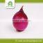 2015 Cheapest Fresh Onion of World