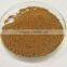 GMP supply high -Quality Wall-broken Ganoderma Lucidum Spore Powder
