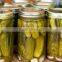 Best selling pickled cucumbers in jar / gherkins 3-6cm 480ml, Vietnam by HAGIMEX