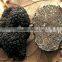 Chinese Black Truffle price