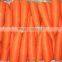 China Fresh Carrot pack in 7kg/carton in Hot Sale