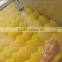 HP-360 Top And Bottom Spray Vegetable Fruit Cleaning Washer and Dryer Machine