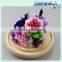 2016 Natural Preserved Flowers preserved Roses fres flower in Glass