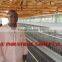 TAIYU Chicken Layer House for Farm Sheds