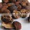 Vietnam Dried Style BLACK CARDAMOM Exporter