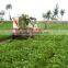 Mini Peanut Harvester/Tractor Peanut Harvester/ Small Peanut Harvester