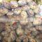big fine mesh handmade nylon multifilament fish net