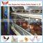 Whole chicken layer cage low price