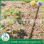 Best price irrigation hose for drip irrigation