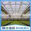 Large multi-span plastic greenhouse for fruits