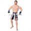 Exquisite collectible action figure toys, Custom made pvc action figure collection,OEM pvc action figure body