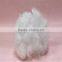 polyester staple fiber