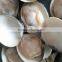 New Produce Frozen Hard Clam with Shell in Good Quality