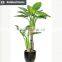 Artificial decorative banana tree ficus tree branch live bonsai tree for home and office decoration