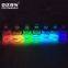 night glow in the dark  luminescent  pigment  powder