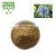 Gromwell P.E/ gromwell root extract with 98% shikonin