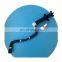 Auto New Headlamp Washer Headlight Washer Nozzle System For LEXUS GS300 2006-2008 OEM 85207-30031