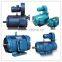 High-quality YLJ torque motor