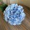 Wholesale Hydrangea Flowers with Stems - DIY Arrangement Hydrangea Flowers, Retailer Hydrangea Flowers