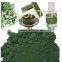 Chromium Oxide Green for pigment