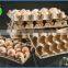 5000 pieces per hour / Egg cartons machine/Rotary egg machine