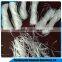 twisted bundle pp fiber Crude fiber for construction