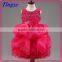 Lastest wholesale boutique handmade embroidered princess frocks girls party dresses TR-WS14