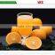juice dispenser Sparying juicer