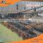 Traditional palm kernel oil refining machine | palm oil processing machine