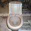 Washdown ceraimc one piece bio toilet